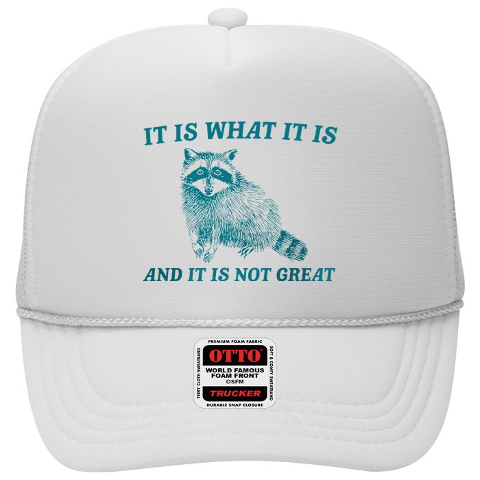 It Is What It Is And It Is Not Great Raccoon Trash Panda Trucker Hat