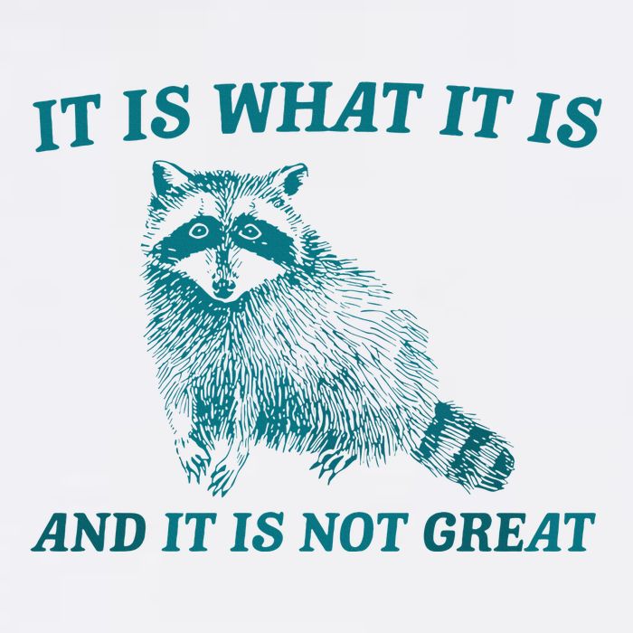 It Is What It Is And It Is Not Great Raccoon Trash Panda Trucker Hat