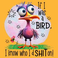 If I Was A Bird I Know Who ID Shit On Pom Pom 12in Knit Beanie