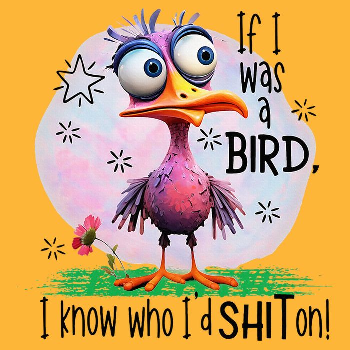 If I Was A Bird I Know Who ID Shit On Pom Pom 12in Knit Beanie