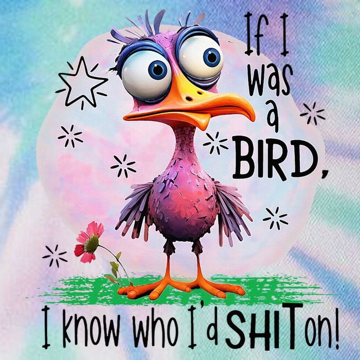 If I Was A Bird I Know Who ID Shit On Legacy Tie Dye Trucker Hat