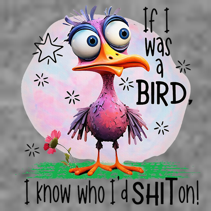 If I Was A Bird I Know Who ID Shit On Toddler Hoodie