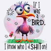 If I Was A Bird I Know Who ID Shit On Sueded Cloud Jersey T-Shirt