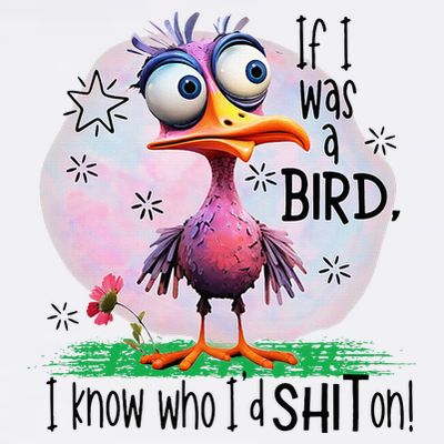 If I Was A Bird I Know Who ID Shit On T-Shirt
