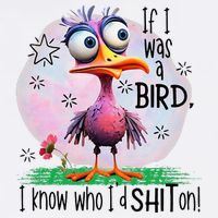 If I Was A Bird I Know Who ID Shit On Button