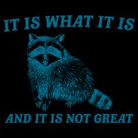 It Is What It Is And It Is Not Great Raccoon 7-Panel Snapback Hat