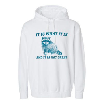 It Is What It Is And It Is Not Great Raccoon Garment-Dyed Fleece Hoodie