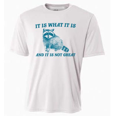 It Is What It Is And It Is Not Great Raccoon Cooling Performance Crew T-Shirt