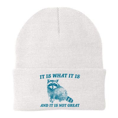 It Is What It Is And It Is Not Great Raccoon Knit Cap Winter Beanie