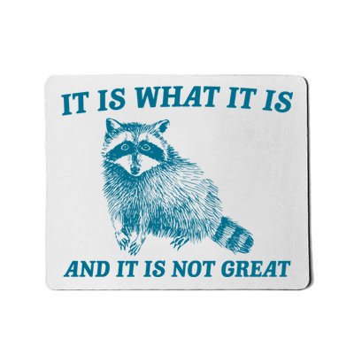 It Is What It Is And It Is Not Great Raccoon Mousepad
