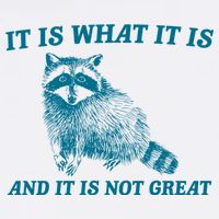 It Is What It Is And It Is Not Great Raccoon Trucker Hat