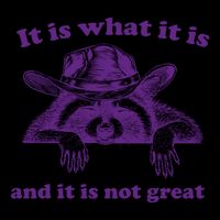 It Is What It Is And It Is Not Great Racoon Meme 16oz Travel Tumbler