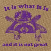 It Is What It Is And It Is Not Great Racoon Meme Cotton Canvas Backpack