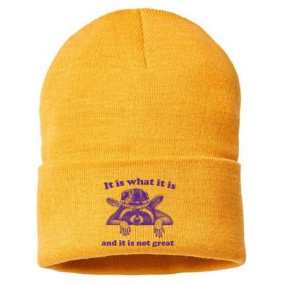 It Is What It Is And It Is Not Great Racoon Meme Sustainable Knit Beanie