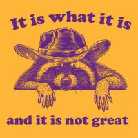 It Is What It Is And It Is Not Great Racoon Meme Pom Pom 12in Knit Beanie