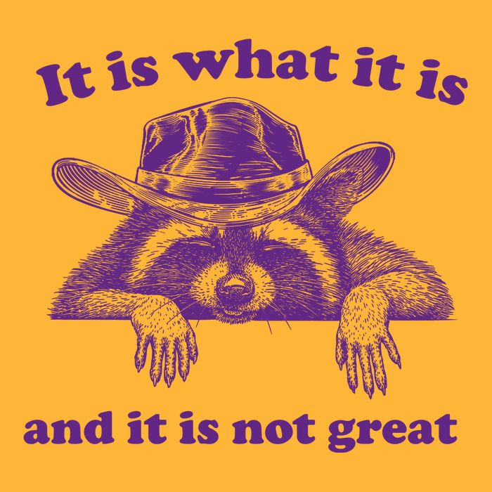 It Is What It Is And It Is Not Great Racoon Meme Pom Pom 12in Knit Beanie