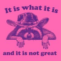 It Is What It Is And It Is Not Great Racoon Meme Stripe Pom Pom Beanie