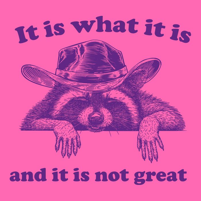 It Is What It Is And It Is Not Great Racoon Meme Stripe Pom Pom Beanie