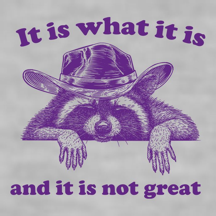 It Is What It Is And It Is Not Great Racoon Meme Ladies PosiCharge Tri-Blend Wicking Tank