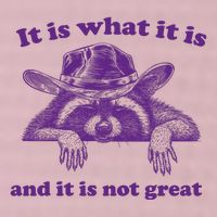 It Is What It Is And It Is Not Great Racoon Meme 25L Jumbo Tote