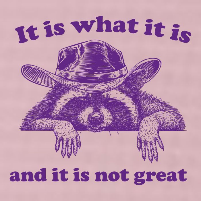 It Is What It Is And It Is Not Great Racoon Meme 25L Jumbo Tote