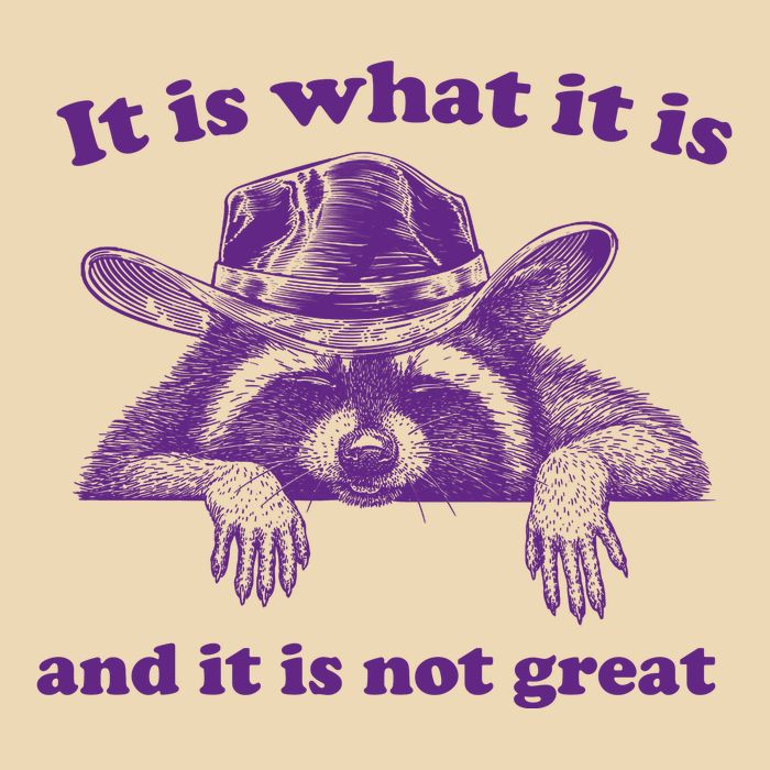It Is What It Is And It Is Not Great Racoon Meme Drawstring Bag