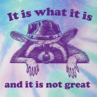 It Is What It Is And It Is Not Great Racoon Meme Legacy Tie Dye Trucker Hat