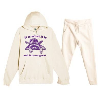 It Is What It Is And It Is Not Great Racoon Meme Premium Hooded Sweatsuit Set