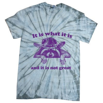 It Is What It Is And It Is Not Great Racoon Meme Tie-Dye T-Shirt