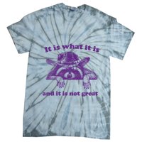 It Is What It Is And It Is Not Great Racoon Meme Tie-Dye T-Shirt