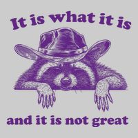 It Is What It Is And It Is Not Great Racoon Meme Tie-Dye T-Shirt