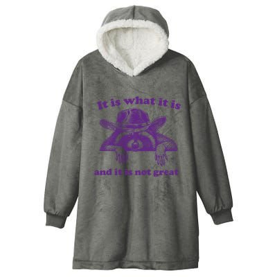 It Is What It Is And It Is Not Great Racoon Meme Hooded Wearable Blanket