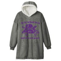 It Is What It Is And It Is Not Great Racoon Meme Hooded Wearable Blanket