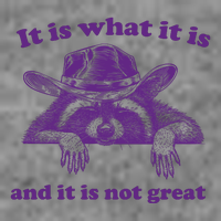 It Is What It Is And It Is Not Great Racoon Meme 7-Panel Snapback Hat