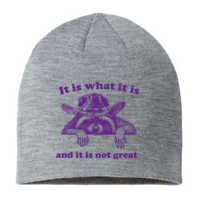 It Is What It Is And It Is Not Great Racoon Meme Sustainable Beanie