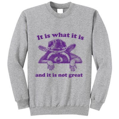It Is What It Is And It Is Not Great Racoon Meme Tall Sweatshirt