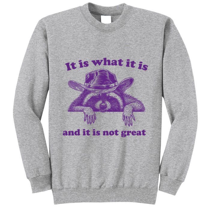 It Is What It Is And It Is Not Great Racoon Meme Tall Sweatshirt