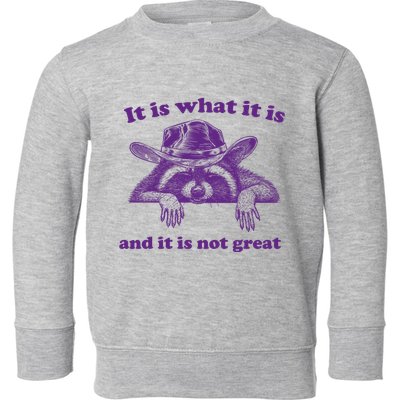 It Is What It Is And It Is Not Great Racoon Meme Toddler Sweatshirt