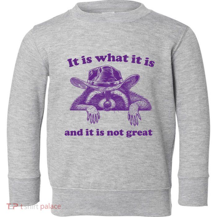 It Is What It Is And It Is Not Great Racoon Meme Toddler Sweatshirt