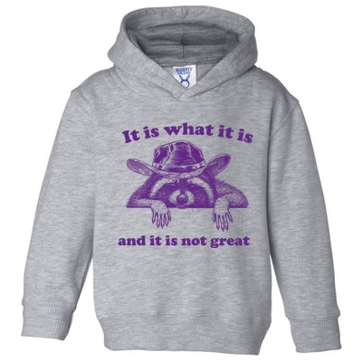 It Is What It Is And It Is Not Great Racoon Meme Toddler Hoodie