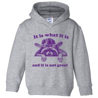 It Is What It Is And It Is Not Great Racoon Meme Toddler Hoodie
