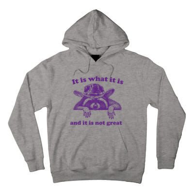 It Is What It Is And It Is Not Great Racoon Meme Tall Hoodie