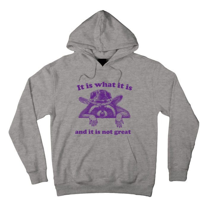 It Is What It Is And It Is Not Great Racoon Meme Tall Hoodie