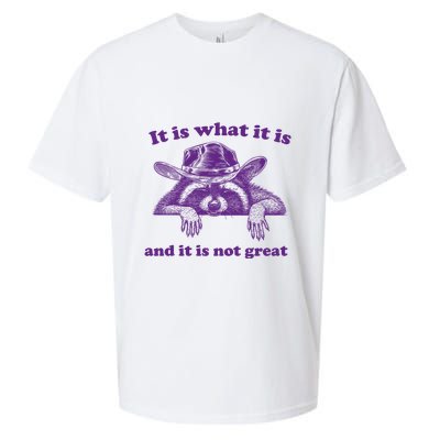 It Is What It Is And It Is Not Great Racoon Meme Sueded Cloud Jersey T-Shirt