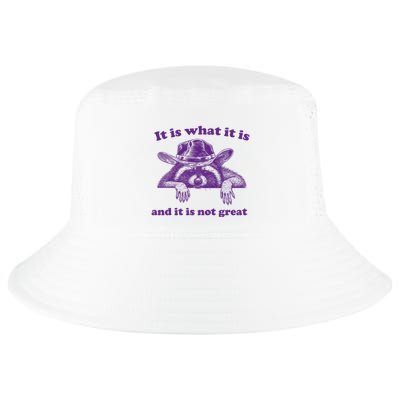 It Is What It Is And It Is Not Great Racoon Meme Cool Comfort Performance Bucket Hat