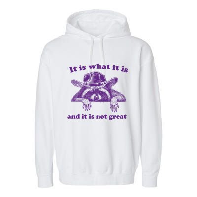 It Is What It Is And It Is Not Great Racoon Meme Garment-Dyed Fleece Hoodie