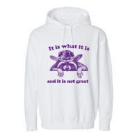 It Is What It Is And It Is Not Great Racoon Meme Garment-Dyed Fleece Hoodie