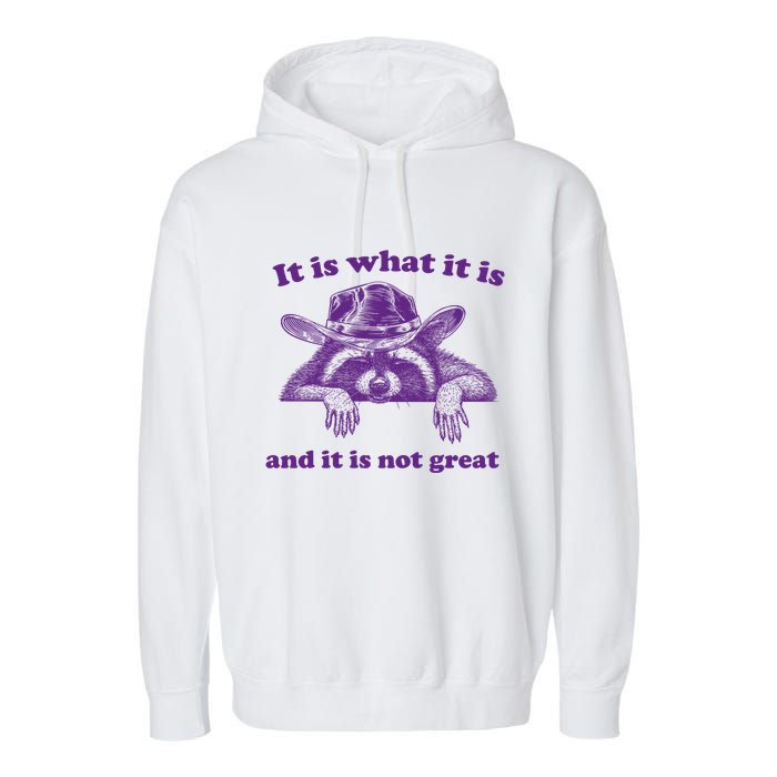It Is What It Is And It Is Not Great Racoon Meme Garment-Dyed Fleece Hoodie
