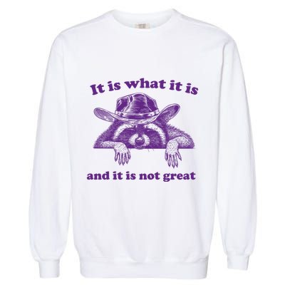 It Is What It Is And It Is Not Great Racoon Meme Garment-Dyed Sweatshirt