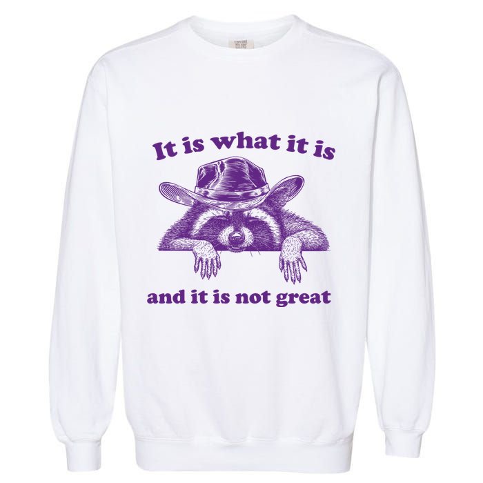 It Is What It Is And It Is Not Great Racoon Meme Garment-Dyed Sweatshirt